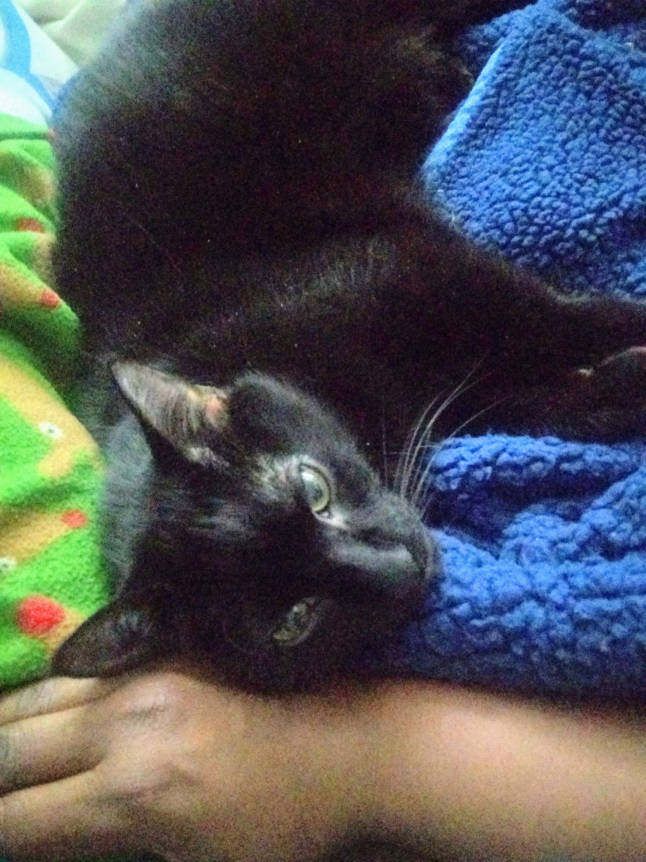 My Cuddle Buddy